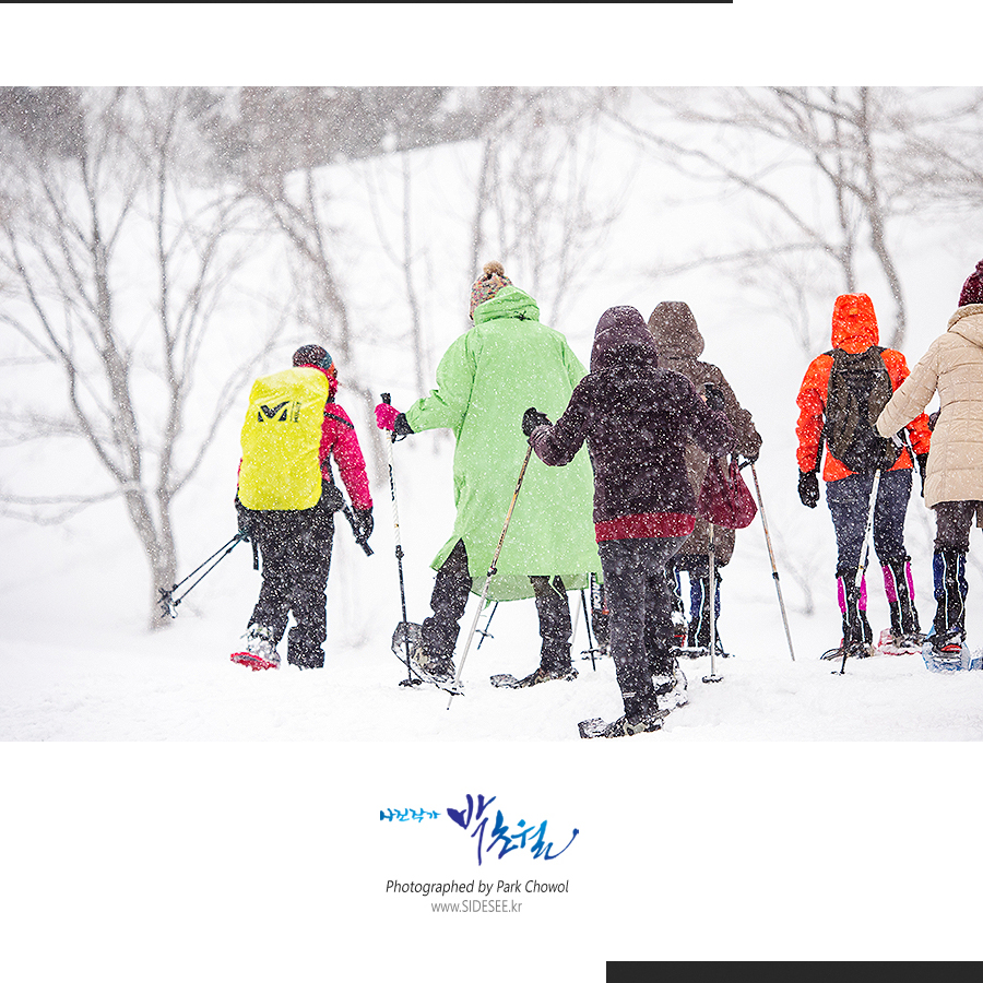 424f9dd4253944896481dc466b794f11_1549638061_4882.jpg 424f9dd4253944896481dc466b794f11_1549638061_4882.jpg