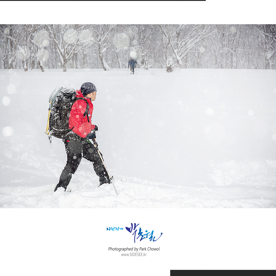 424f9dd4253944896481dc466b794f11_1549638061_7248.jpg 424f9dd4253944896481dc466b794f11_1549638061_7248.jpg