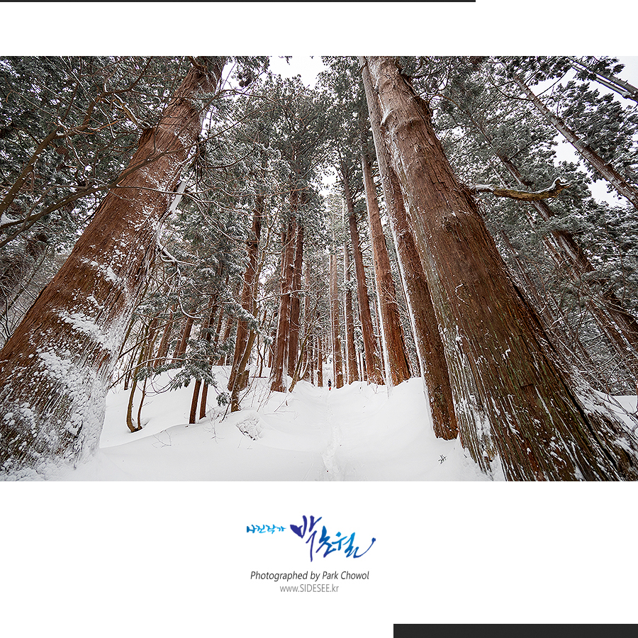 424f9dd4253944896481dc466b794f11_1549638099_3438.jpg 424f9dd4253944896481dc466b794f11_1549638099_3438.jpg