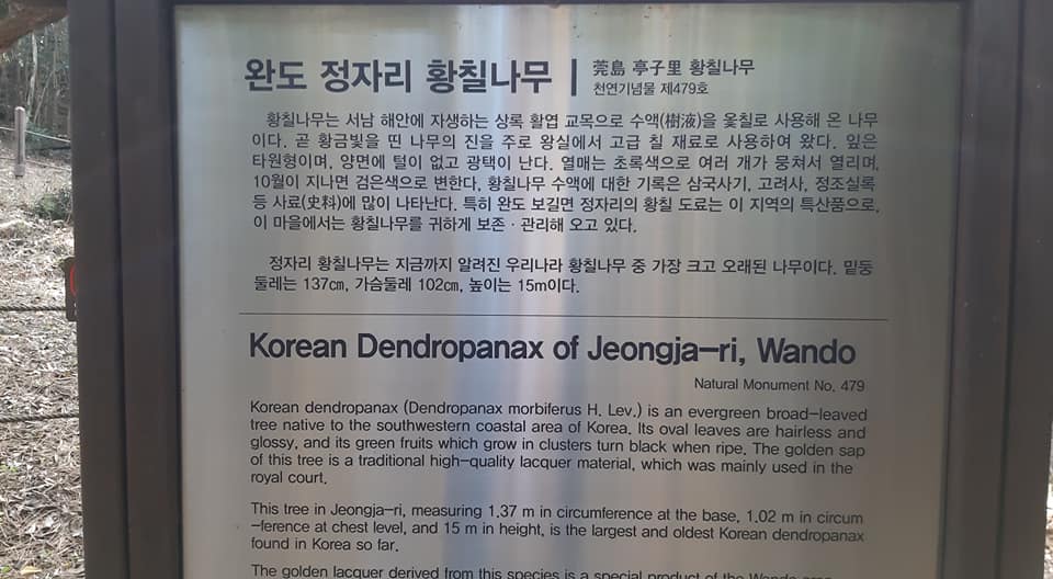 25733314e8016aef212f2d754857b86d_1618814009_4701.jpg 25733314e8016aef212f2d754857b86d_1618814009_4701.jpg