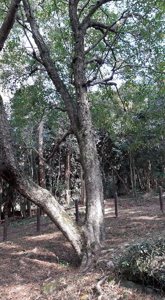 25733314e8016aef212f2d754857b86d_1618814047_5423.jpg 25733314e8016aef212f2d754857b86d_1618814047_5423.jpg