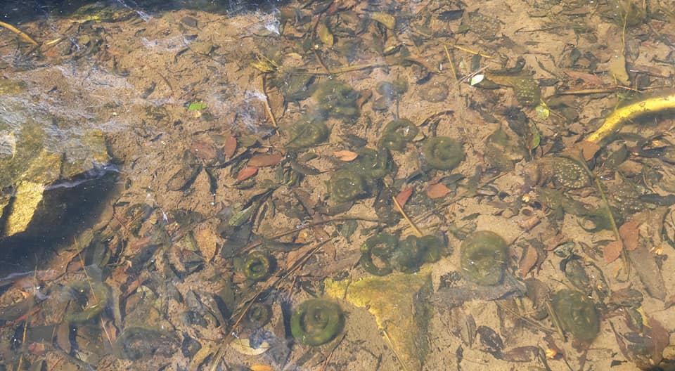 25733314e8016aef212f2d754857b86d_1618814101_5566.jpg 25733314e8016aef212f2d754857b86d_1618814101_5566.jpg