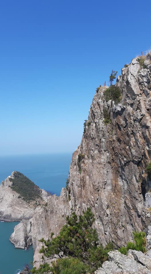 25733314e8016aef212f2d754857b86d_1618816702_401.jpg 25733314e8016aef212f2d754857b86d_1618816702_401.jpg