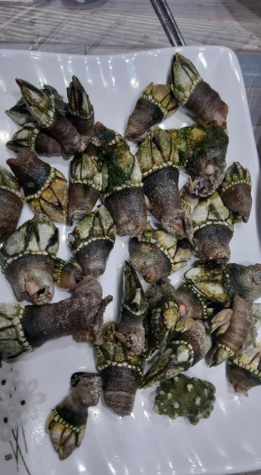 e4a377e8a90ae39270b37af5210fe042_1619592648_1056.jpg e4a377e8a90ae39270b37af5210fe042_1619592648_1056.jpg