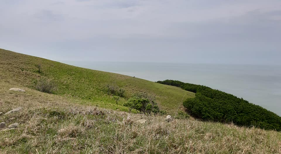 c4ab9db957b5e7f16a53a8e54aa044bb_1624348288_2666.jpg c4ab9db957b5e7f16a53a8e54aa044bb_1624348288_2666.jpg