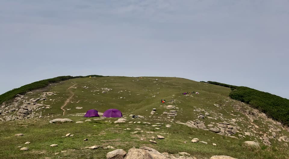 c4ab9db957b5e7f16a53a8e54aa044bb_1624348330_1539.jpg c4ab9db957b5e7f16a53a8e54aa044bb_1624348330_1539.jpg