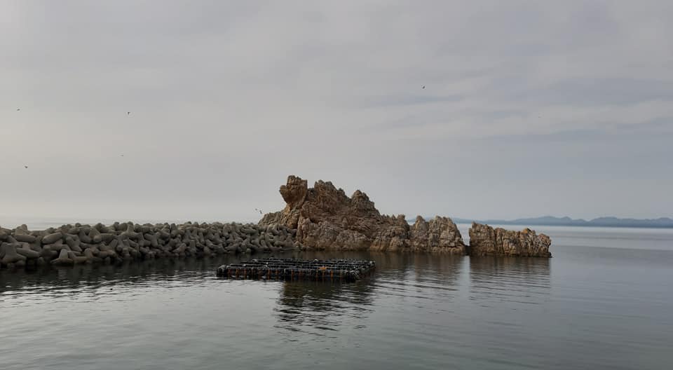 f8a09647d91d8cdb6cc57c1e7ec6e3d6_1625032725_6022.jpg f8a09647d91d8cdb6cc57c1e7ec6e3d6_1625032725_6022.jpg