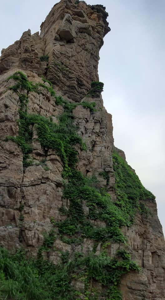 f8a09647d91d8cdb6cc57c1e7ec6e3d6_1625032872_1953.jpg f8a09647d91d8cdb6cc57c1e7ec6e3d6_1625032872_1953.jpg