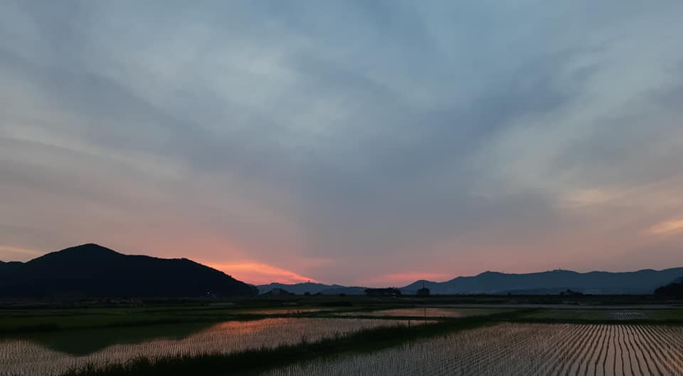 f8a09647d91d8cdb6cc57c1e7ec6e3d6_1625032891_7561.jpg f8a09647d91d8cdb6cc57c1e7ec6e3d6_1625032891_7561.jpg