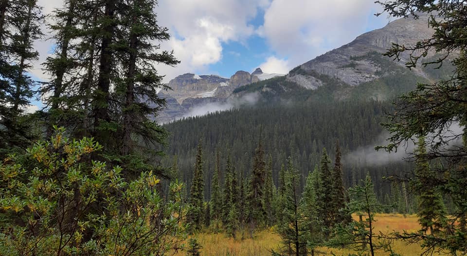 7389ee330da967c49d7a4e21ef672d87_1631692000_7357.jpg 7389ee330da967c49d7a4e21ef672d87_1631692000_7357.jpg