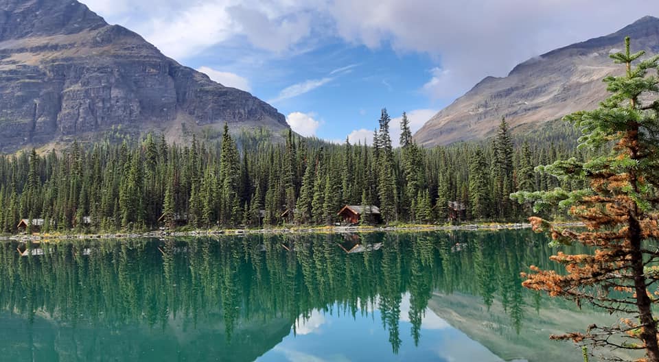 7389ee330da967c49d7a4e21ef672d87_1631692100_581.jpg 7389ee330da967c49d7a4e21ef672d87_1631692100_581.jpg