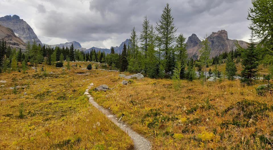 7389ee330da967c49d7a4e21ef672d87_1631692174_6737.jpg 7389ee330da967c49d7a4e21ef672d87_1631692174_6737.jpg