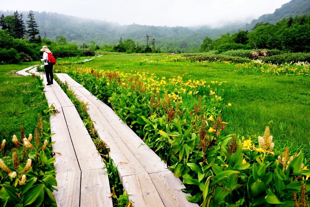 ed97fff220ad14146d2ab88f5c283661_1683876621_9345.jpg ed97fff220ad14146d2ab88f5c283661_1683876621_9345.jpg