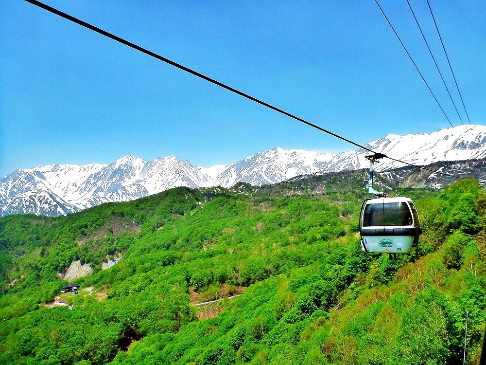 ed97fff220ad14146d2ab88f5c283661_1683876626_8225.jpg ed97fff220ad14146d2ab88f5c283661_1683876626_8225.jpg