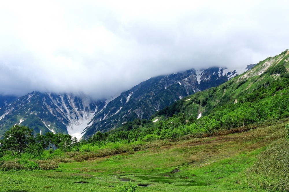 ed97fff220ad14146d2ab88f5c283661_1683876627_8074.jpg ed97fff220ad14146d2ab88f5c283661_1683876627_8074.jpg