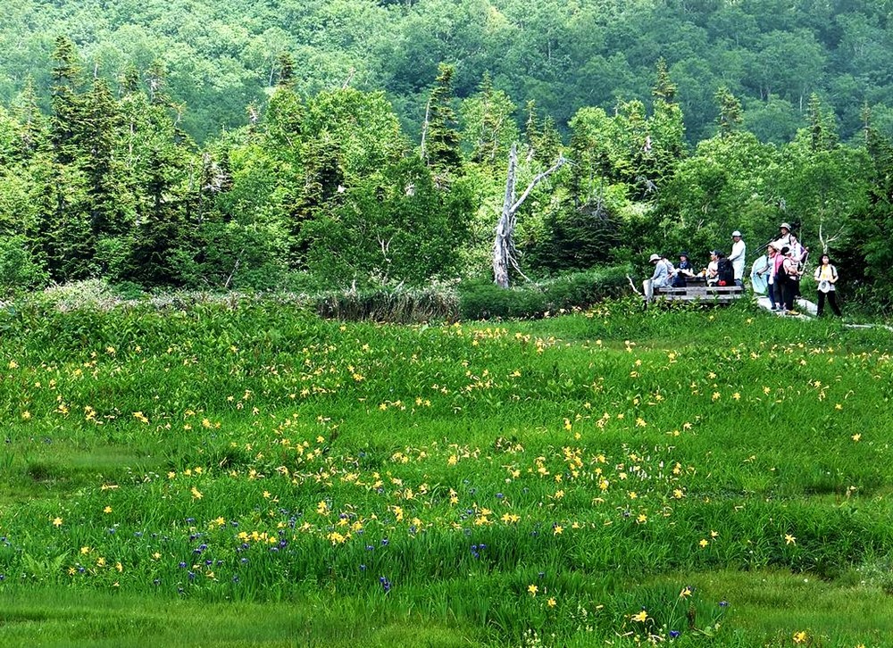 ed97fff220ad14146d2ab88f5c283661_1683876630_3132.jpg ed97fff220ad14146d2ab88f5c283661_1683876630_3132.jpg