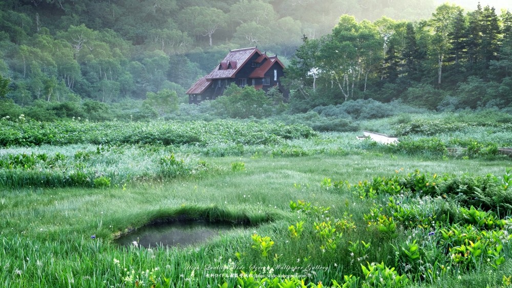 ed97fff220ad14146d2ab88f5c283661_1683876631_4984.jpg ed97fff220ad14146d2ab88f5c283661_1683876631_4984.jpg