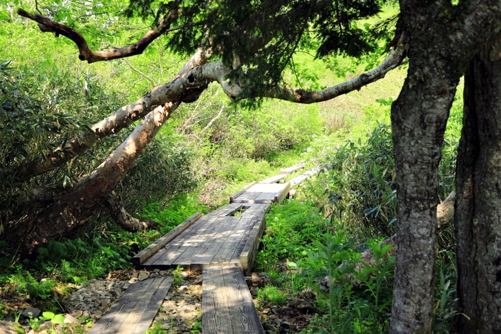 ed97fff220ad14146d2ab88f5c283661_1683876632_9665.jpg ed97fff220ad14146d2ab88f5c283661_1683876632_9665.jpg