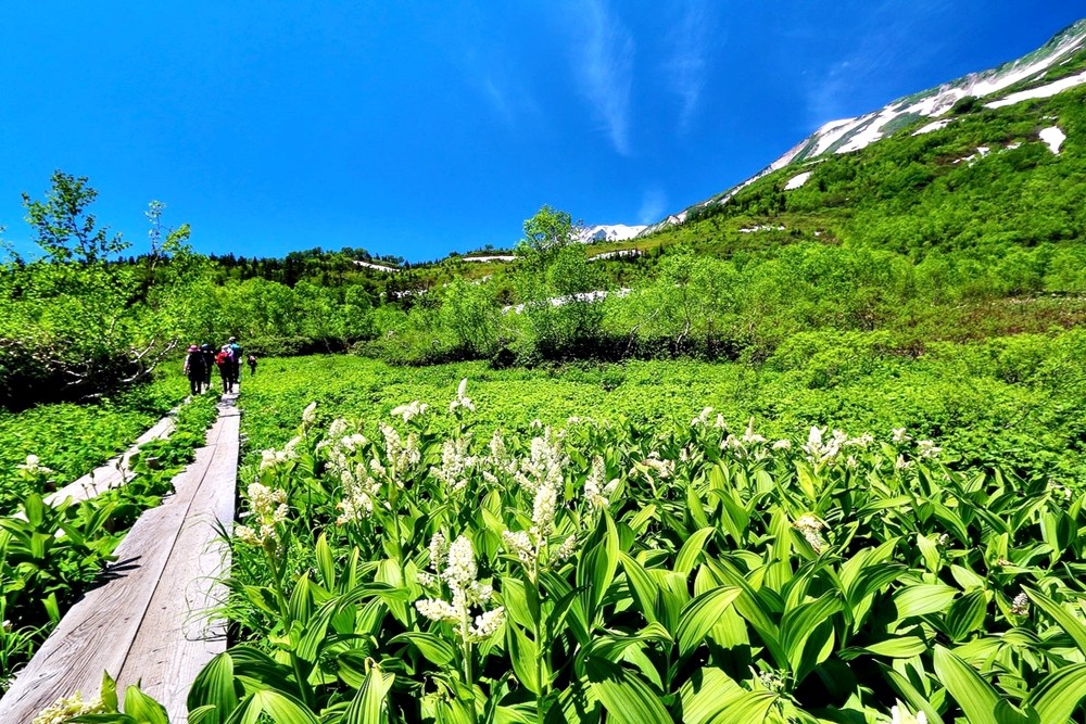 ed97fff220ad14146d2ab88f5c283661_1683876646_7897.jpg ed97fff220ad14146d2ab88f5c283661_1683876646_7897.jpg