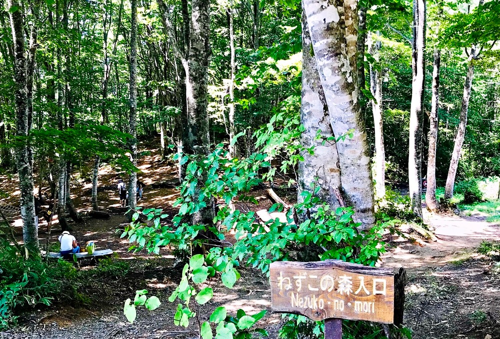 ed97fff220ad14146d2ab88f5c283661_1683876650_5527.jpg ed97fff220ad14146d2ab88f5c283661_1683876650_5527.jpg