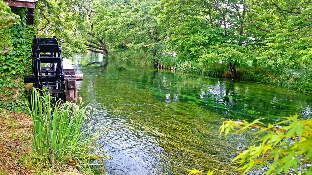 ed97fff220ad14146d2ab88f5c283661_1683876656_1766.jpg ed97fff220ad14146d2ab88f5c283661_1683876656_1766.jpg