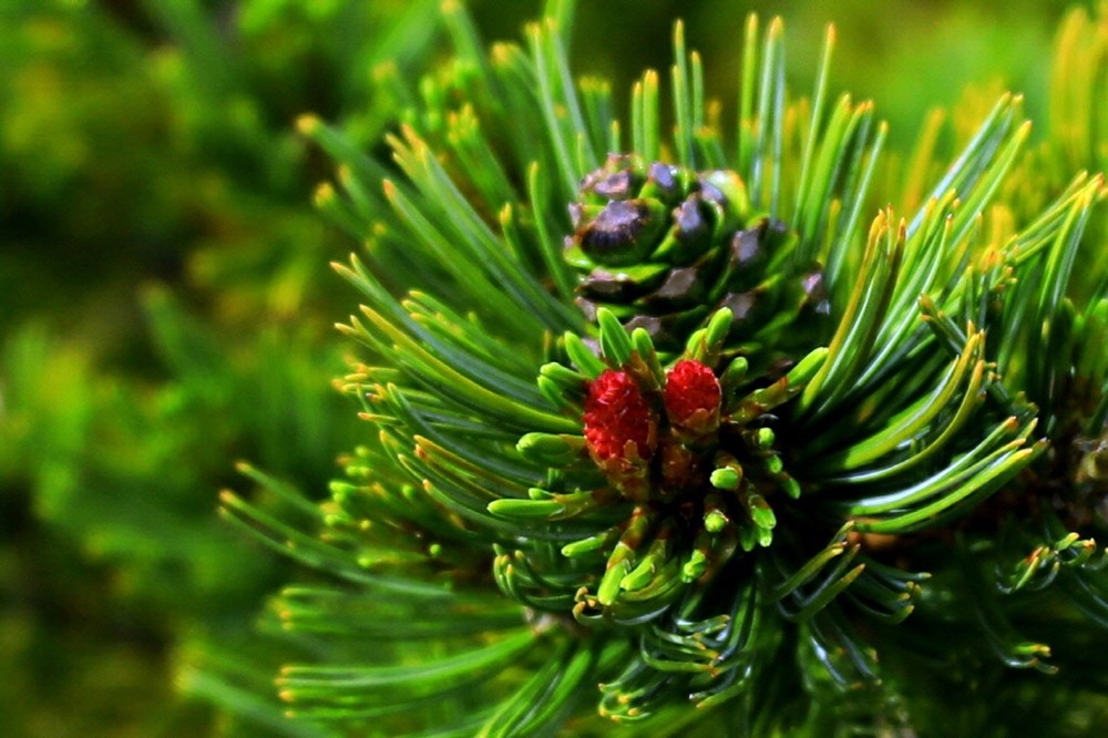 ed97fff220ad14146d2ab88f5c283661_1683876658_8377.jpg ed97fff220ad14146d2ab88f5c283661_1683876658_8377.jpg