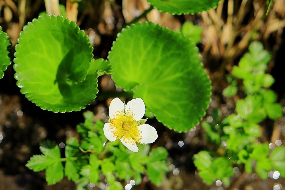 ed97fff220ad14146d2ab88f5c283661_1683876660_3012.jpg ed97fff220ad14146d2ab88f5c283661_1683876660_3012.jpg