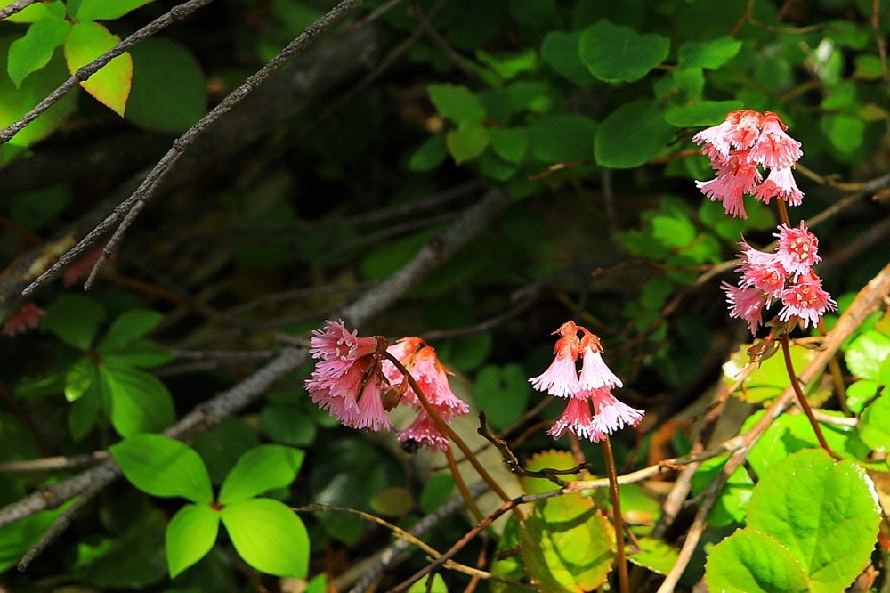 ed97fff220ad14146d2ab88f5c283661_1683876662_9955.jpg ed97fff220ad14146d2ab88f5c283661_1683876662_9955.jpg