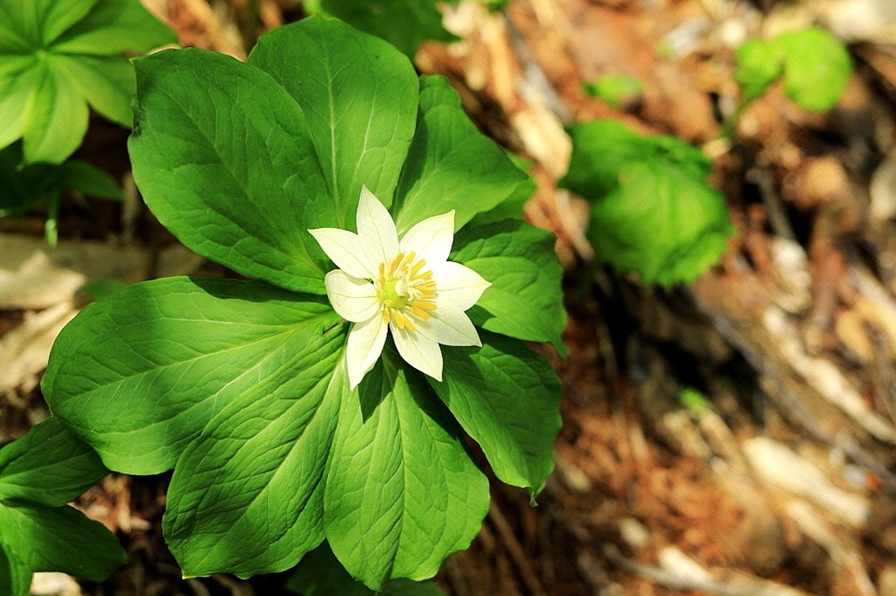 ed97fff220ad14146d2ab88f5c283661_1683876666_945.jpg ed97fff220ad14146d2ab88f5c283661_1683876666_945.jpg