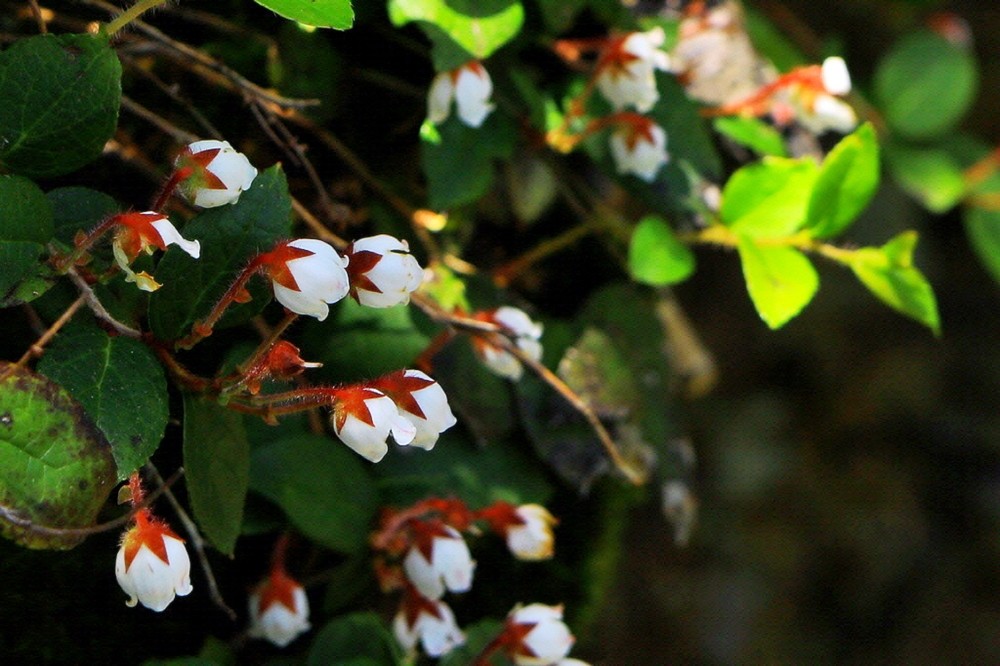 ed97fff220ad14146d2ab88f5c283661_1683876668_6413.jpg ed97fff220ad14146d2ab88f5c283661_1683876668_6413.jpg