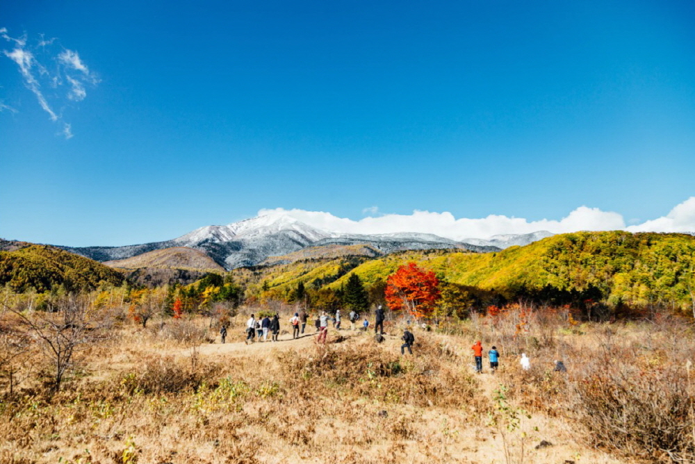 8e8458cfd6dc150ebb2ddc393a9a0ec5_1686712180_2558.jpg 8e8458cfd6dc150ebb2ddc393a9a0ec5_1686712180_2558.jpg