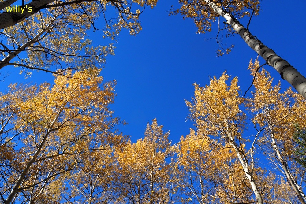 8fa24abc74fa1e447f582d824ad3b569_1688112102_1912.jpg 8fa24abc74fa1e447f582d824ad3b569_1688112102_1912.jpg