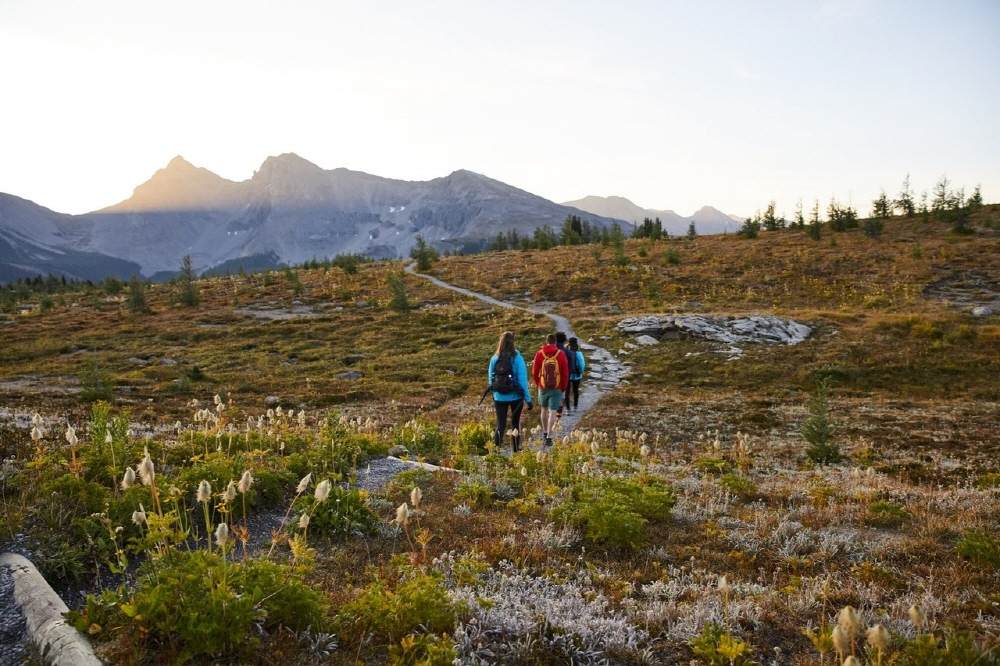 29d3d9b5551ce9041247fbb1f42b8ec6_1688535777_6546.jpg 29d3d9b5551ce9041247fbb1f42b8ec6_1688535777_6546.jpg