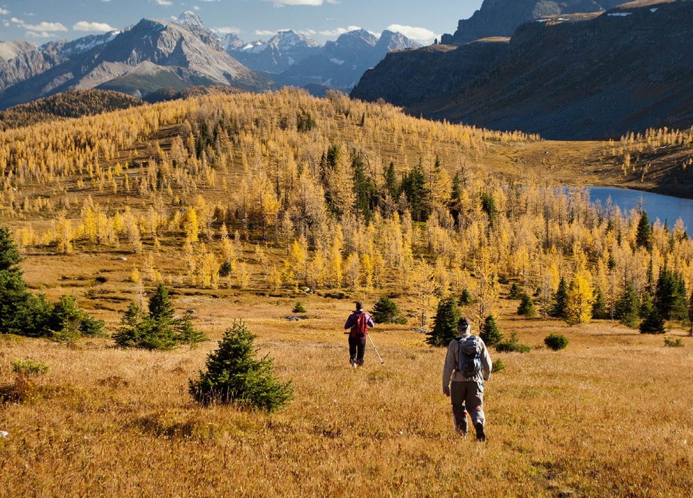 29d3d9b5551ce9041247fbb1f42b8ec6_1688535900_241.jpg 29d3d9b5551ce9041247fbb1f42b8ec6_1688535900_241.jpg