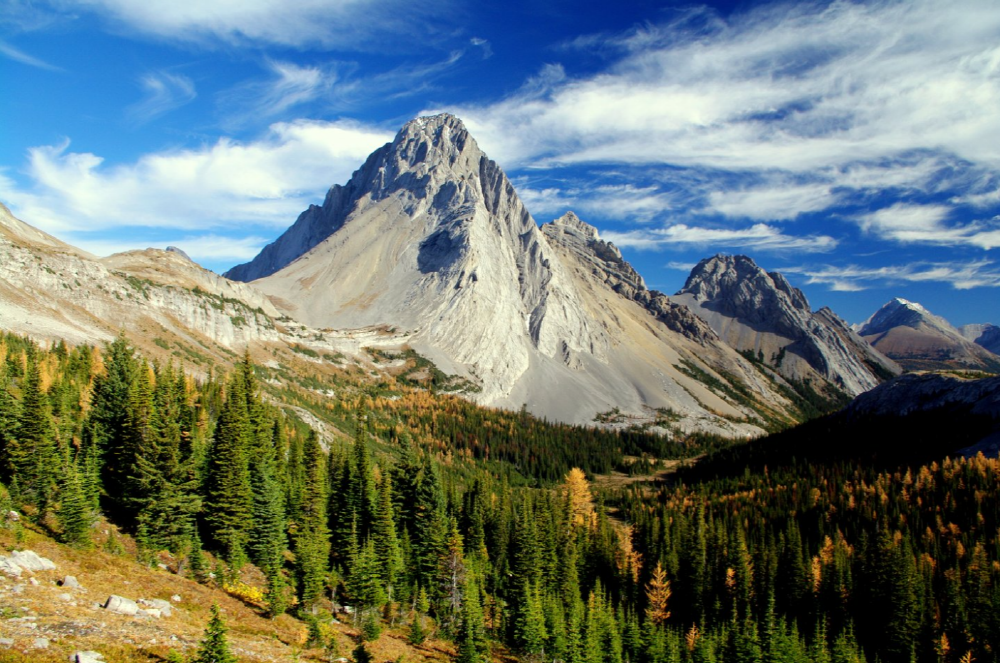 29d3d9b5551ce9041247fbb1f42b8ec6_1688535966_6197.png 29d3d9b5551ce9041247fbb1f42b8ec6_1688535966_6197.png