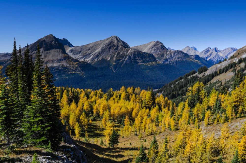 29d3d9b5551ce9041247fbb1f42b8ec6_1688535975_6967.png 29d3d9b5551ce9041247fbb1f42b8ec6_1688535975_6967.png