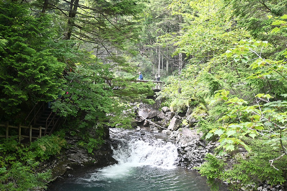 8bc8c338dc34fdc9596c927421e59fb4_1710290112_4032.jpg
