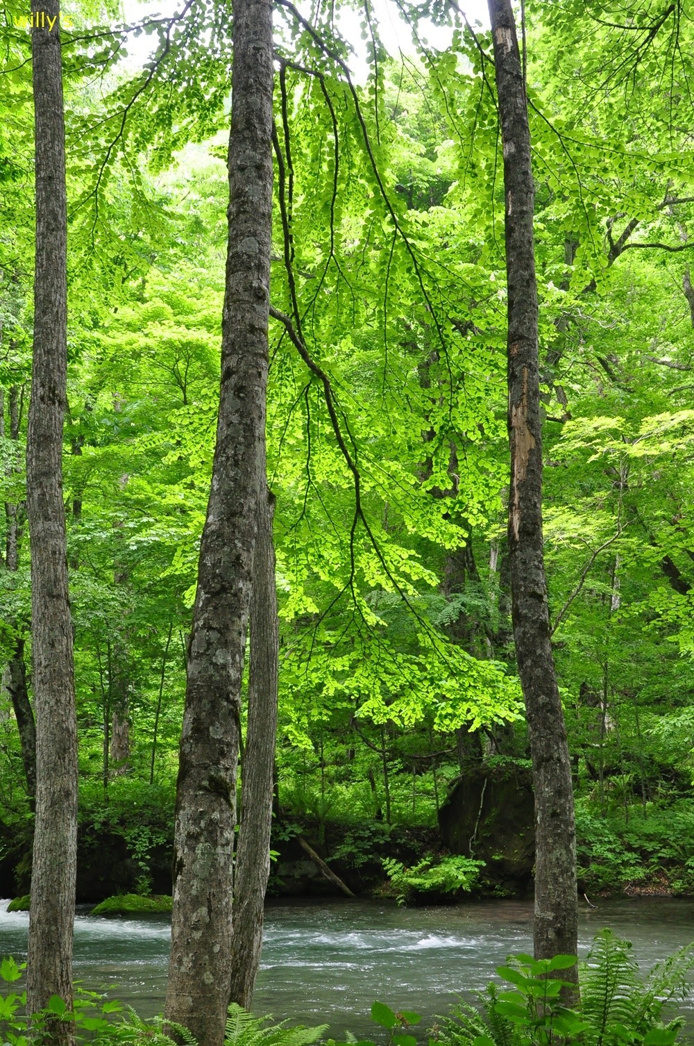 1f5581476d3e55507756c961cc87af28_1712280686_4578.jpg