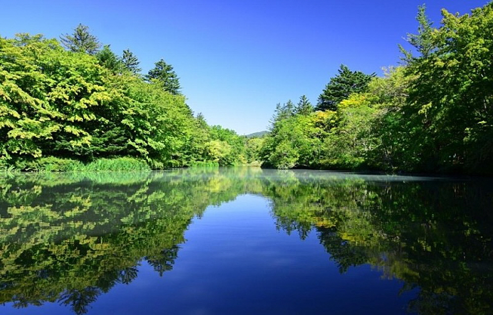 3c8fbdd62c5fc7f359cecd5705b7f785_1715042468_9831.jpg