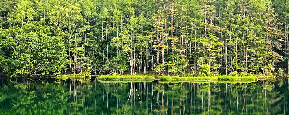 c99f150f3927a1e19ab2a1b4366fe6a2_1742796744_7188.jpg