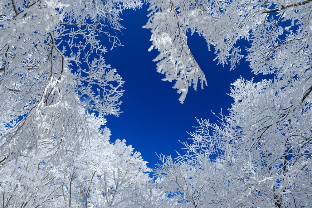 a5c4d510b948420b379686b37c274dd3_1757318655_6484.jpg