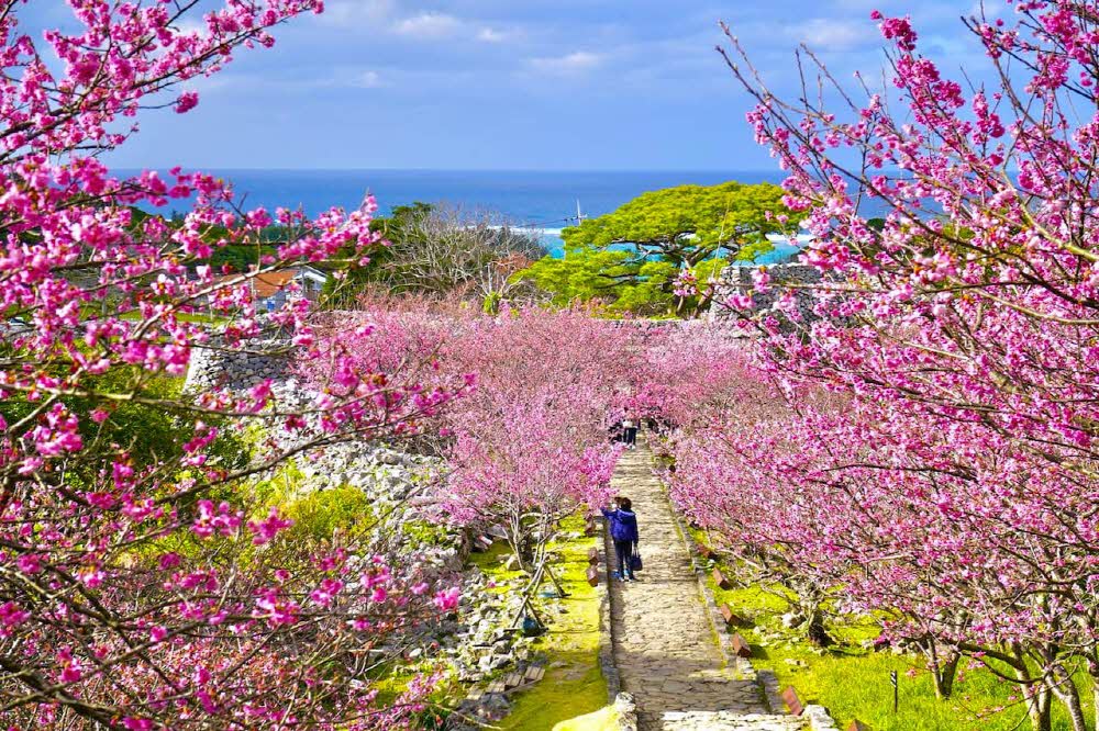 b252907e88179830b184eb499f6f414f_1761611792_1095.jpg b252907e88179830b184eb499f6f414f_1761611792_1095.jpg