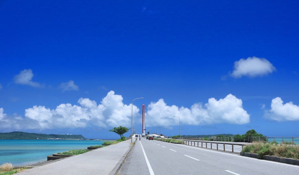 b252907e88179830b184eb499f6f414f_1761611808_3914.jpg b252907e88179830b184eb499f6f414f_1761611808_3914.jpg