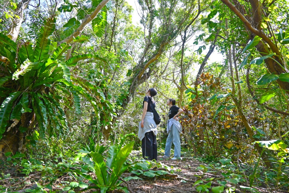 b252907e88179830b184eb499f6f414f_1761611886_771.jpg b252907e88179830b184eb499f6f414f_1761611886_771.jpg