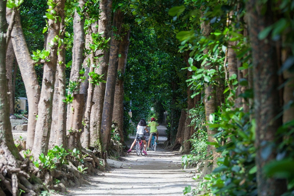 b252907e88179830b184eb499f6f414f_1761611886_9356.jpg b252907e88179830b184eb499f6f414f_1761611886_9356.jpg