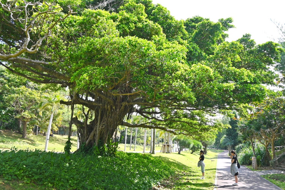 b252907e88179830b184eb499f6f414f_1761611927_7892.jpg b252907e88179830b184eb499f6f414f_1761611927_7892.jpg