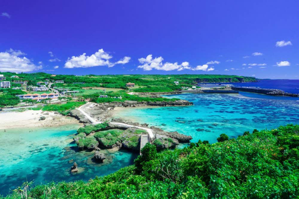 b252907e88179830b184eb499f6f414f_1761612042_0227.jpg b252907e88179830b184eb499f6f414f_1761612042_0227.jpg