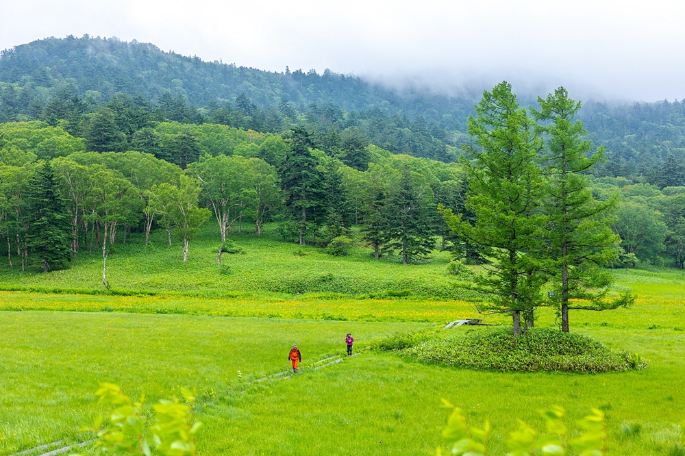 0a2b08cd1fd47ffec8bac5256492e219_1762324004_9478.jpg 0a2b08cd1fd47ffec8bac5256492e219_1762324004_9478.jpg