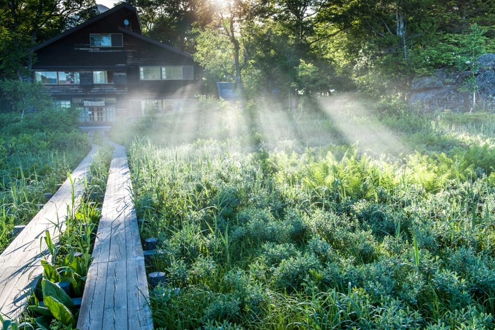 0a2b08cd1fd47ffec8bac5256492e219_1762324005_1399.jpg 0a2b08cd1fd47ffec8bac5256492e219_1762324005_1399.jpg