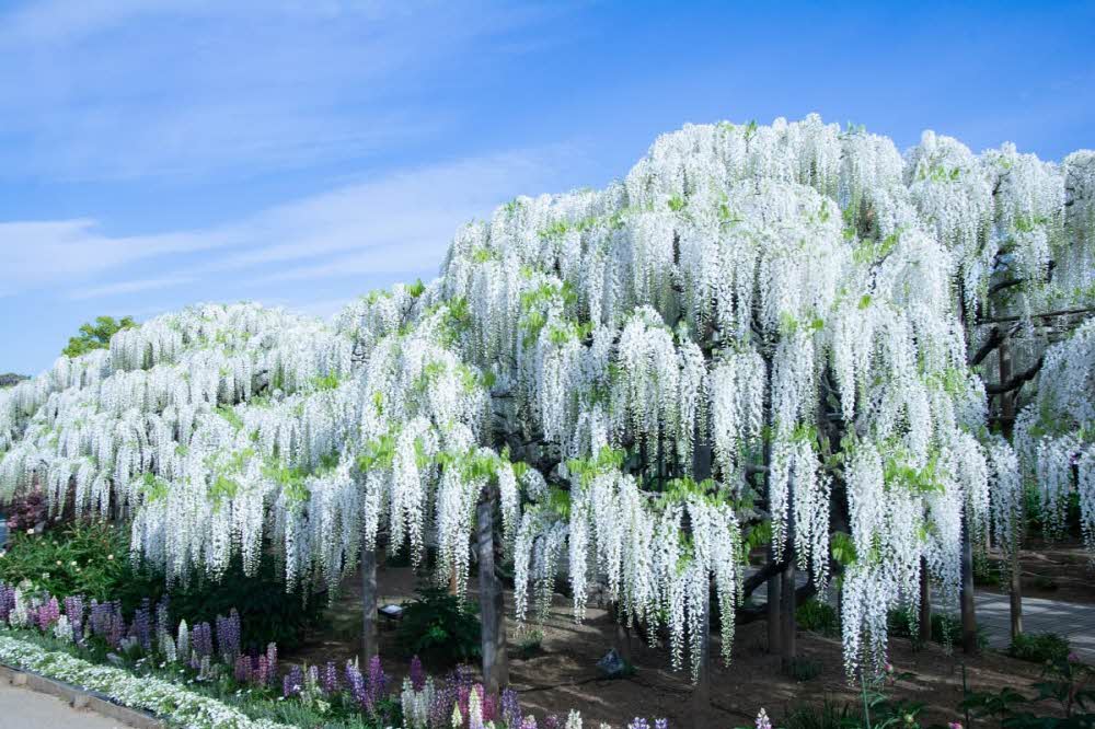 a4f7e7986f66636f694833a89c7da792_1762479759_7274.jpg a4f7e7986f66636f694833a89c7da792_1762479759_7274.jpg